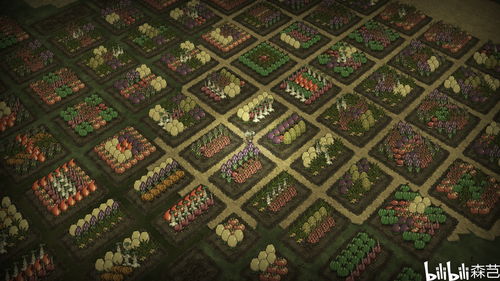 高效种植巨株作物攻略，揭秘《饥荒》种地新境界