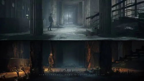 《尸灵》宣传片：沉浸阴郁氛围，探寻未知恐怖之旅