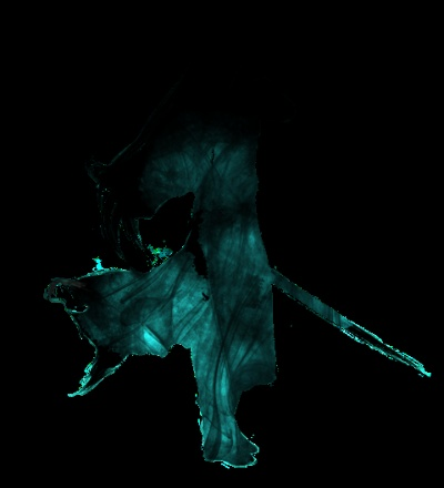 《仙剑5前传》五大神秘角色剪影首曝!揭秘未知英雄! 《仙剑5前传》五大神秘角色剪影首曝!揭秘未知英雄!