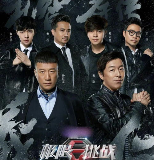 《光与影33号》极限挑战，揭秘高难度攻略新视角