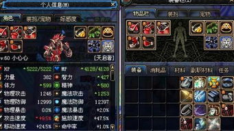 S11圣骑士BD攻略：揭秘纯辅助新境界