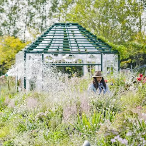 《鹅鸭杀手》房间定制攻略，深度解析新玩法！