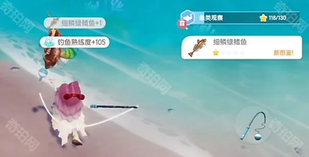 《心动小镇沙滩秘境：粉红鲨鱼钓点大揭秘》