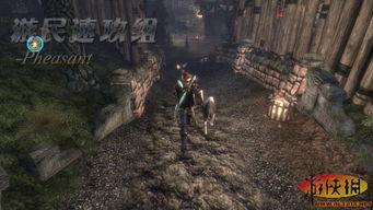 《神鬼寓言3》全流程攻略:隐藏任务解锁秘籍 《神鬼寓言3》全流程攻略:隐藏任务解锁秘籍