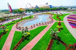 《心动小镇蓝星花金龟捕捉攻略：隐藏地点大揭秘》