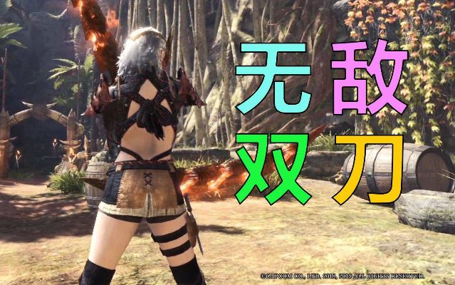 《荒野百会双刀攻略：打造最强猎人！》