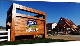 售罄即止!任天堂《马车世界》NS2同捆版限时抢购 售罄即止!任天堂《马车世界》NS2同捆版限时抢购