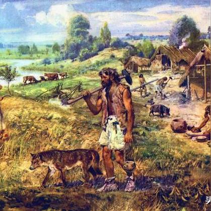 《庄园领主》攻略：高效贸易与工业布局秘籍！