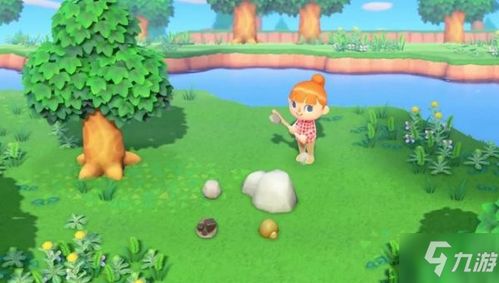 高效攻略!《动物森友会》椰子树刷稀有虫技巧分享 高效攻略!《动物森友会》椰子树刷稀有虫技巧分享