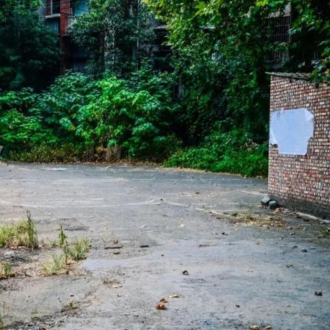 《孤岛惊魂5》多人模式:立体空地战新体验 《孤岛惊魂5》多人模式:立体空地战新体验