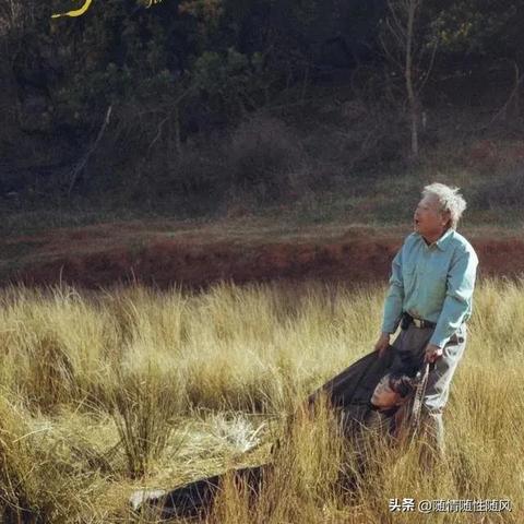 《漫长的季节》开播时间揭秘！锁定精彩不容错过
