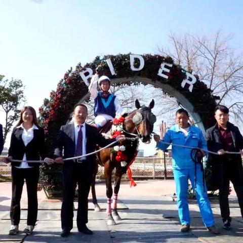 如龙8外传大海原证书考试答案在哪?轻松提升等级攻略！