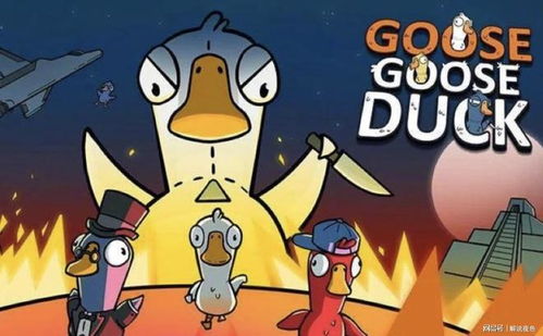 《鹅鸭杀》追踪者攻略:揭秘隐秘猎杀技巧 《鹅鸭杀》追踪者攻略:揭秘隐秘猎杀技巧