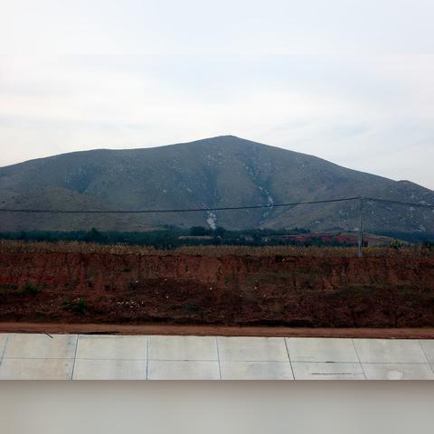 轻松获取无广告版!《疯狂鸽子》下载安装攻略大揭秘 轻松获取无广告版!《疯狂鸽子》下载安装攻略大揭秘