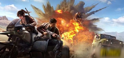 古墓探险新体验,揭秘《和平精英》迷途宝藏玩法 古墓探险新体验,揭秘《和平精英》迷途宝藏玩法