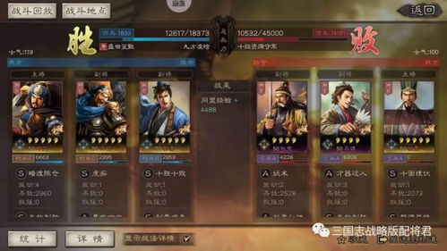 三国志战略版阵容攻略:汉焰长明强队搭配新思路 三国志战略版阵容攻略:汉焰长明强队搭配新思路