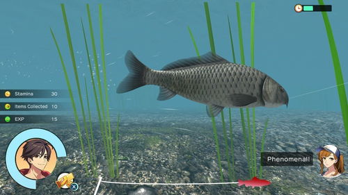 《剑星钓鱼全攻略：揭秘隐藏钓点与稀有鱼种》