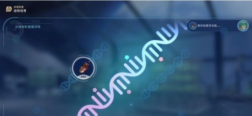 《崩坏星穹铁道》1.6新宠生命烘焙箱攻略,高效拾遗技巧揭秘 《崩坏星穹铁道》1.6新宠生命烘焙箱攻略,高效拾遗技巧揭秘