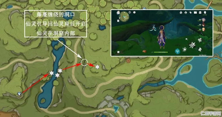 《原神》攻略：高效劫波莲采集路线，解锁神秘新价值