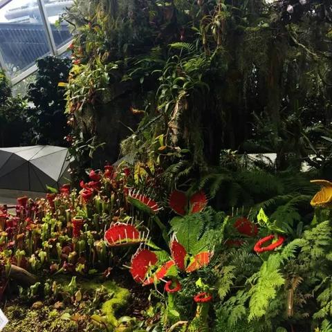 《死亡空间重制版》神印碎片全收集攻略！12个碎片位置揭秘