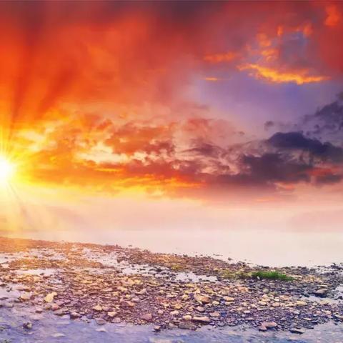 《恶意不息》快速上手攻略：高效路线解析与技巧分享