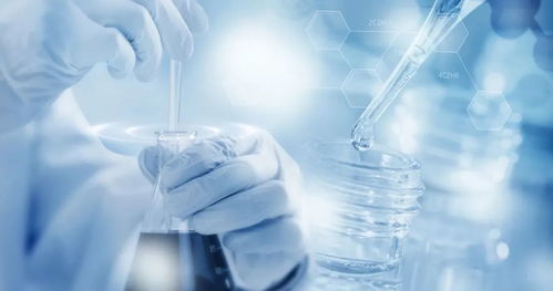 芽针针剂产线蓝图解析：揭秘高效生产新奥秘