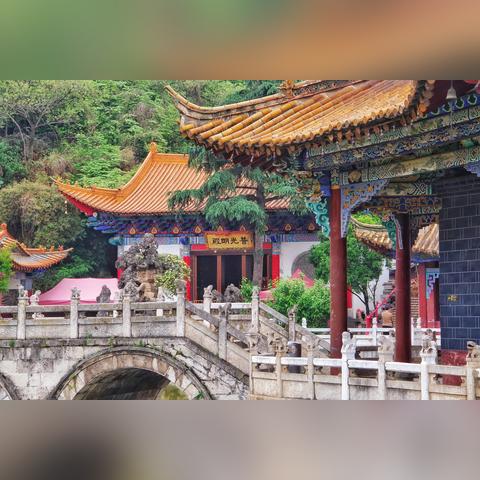 《动物园怪谈》惊悚揭秘：沉浸式试玩体验深度解析