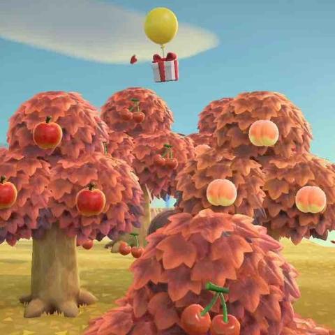 《动物森友会》花株生长奥秘解析与布局优化策略探析