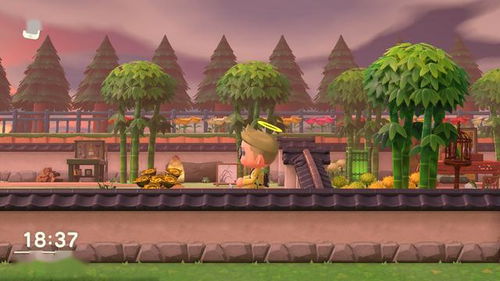 双南入海口岛屿攻略：打造梦幻家园新秘籍