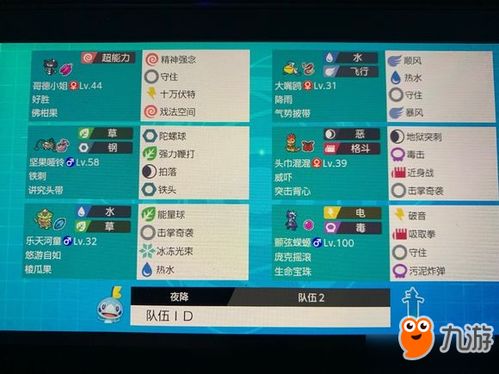 雨天双打宝可梦朱紫队策略精粹解析