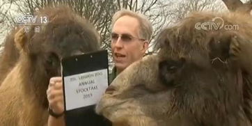 《逗比生物大盘点：奇名怪脸的《无人深空》奇遇记》