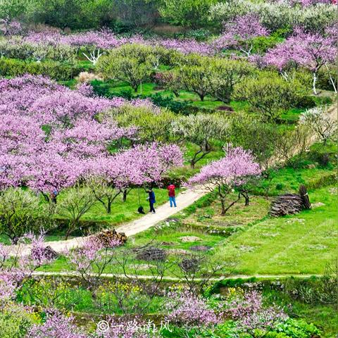 四号谷地攻略：武陵拉电线技巧解析，高效通关新攻略