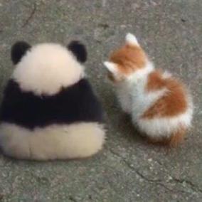 《鹅鸭杀》恋人装解锁攻略：揭秘隐藏服装获取新技巧