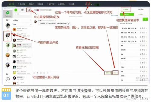 《鹅鸭杀》鹈鹕攻略：高效玩法与技巧解析，轻松制胜之道